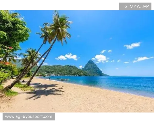 聖卢西亚举办国际徒步登山比赛，圣卢西亚在地图上的位置