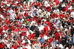 九游网页官网-体育赛事观众行为特征与管理对策，观众对体育赛事的意义